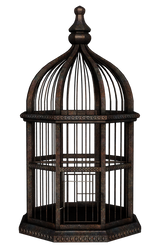 UNRESTRICTED - Rusty Birdcage Render