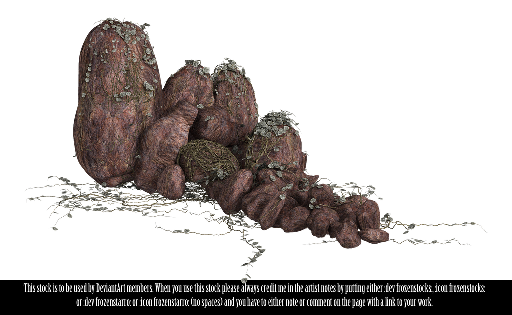 RESTRICTED - Rocks and Vines Render 1