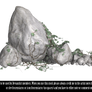 RESTRICTED - Rocks and Vines Render 2