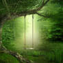 UNRESTRICTED - Forest Swing Background