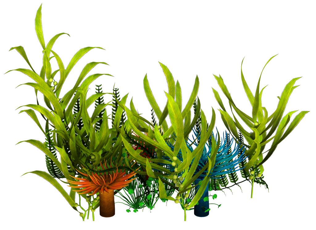 UNRESTRICTED - Underwater Plants Render by frozenstocks on DeviantArt.