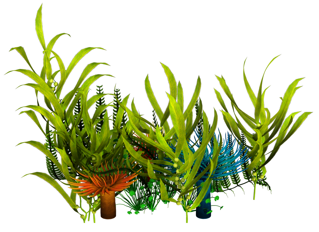 UNRESTRICTED - Underwater Plants Render by frozenstocks