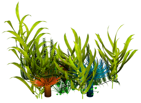 UNRESTRICTED - Underwater Plants  Render