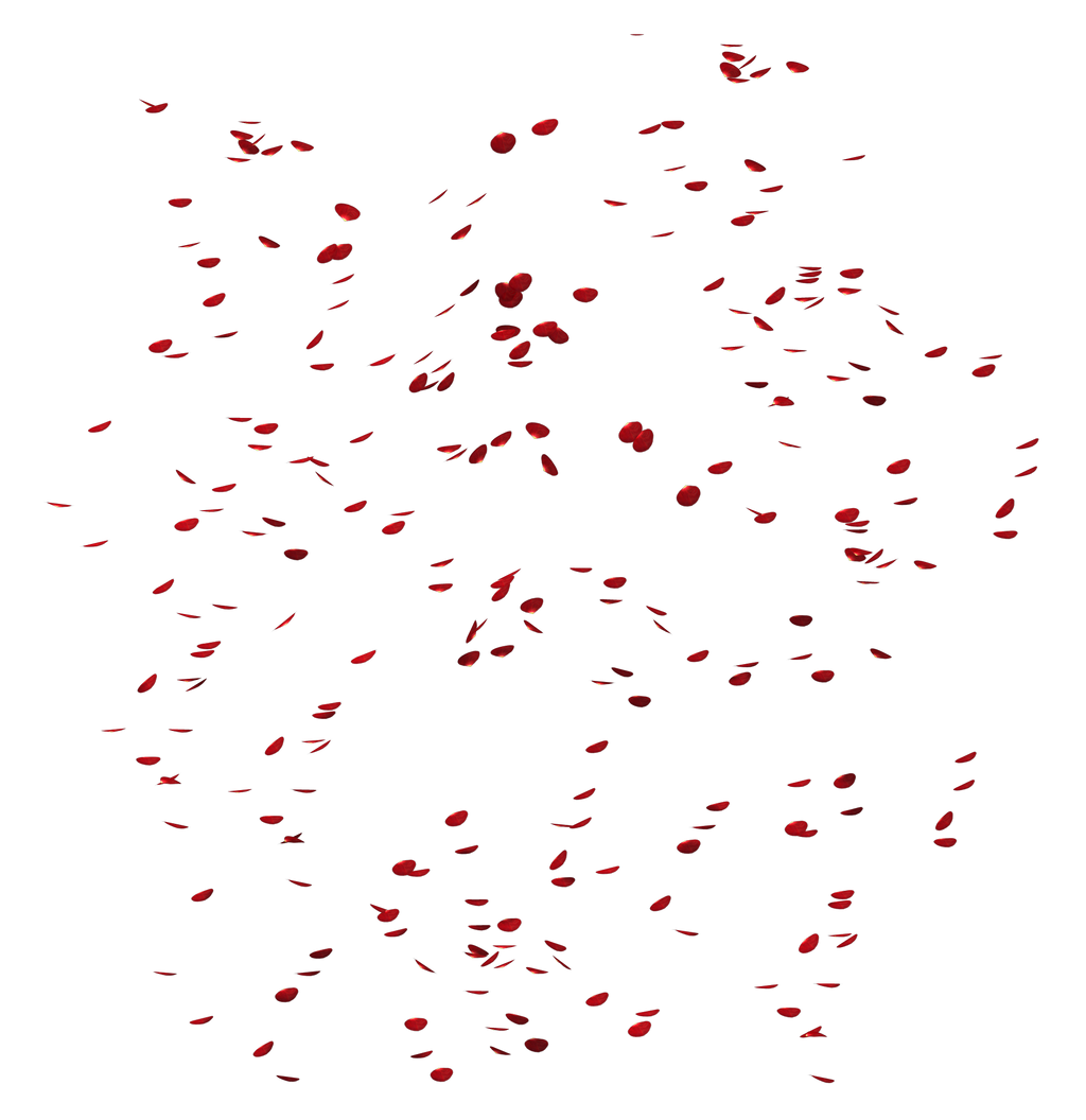UNRESTRICTED - Petal Rain 01