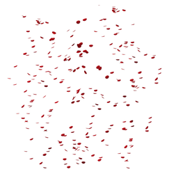 UNRESTRICTED - Petal Rain 01