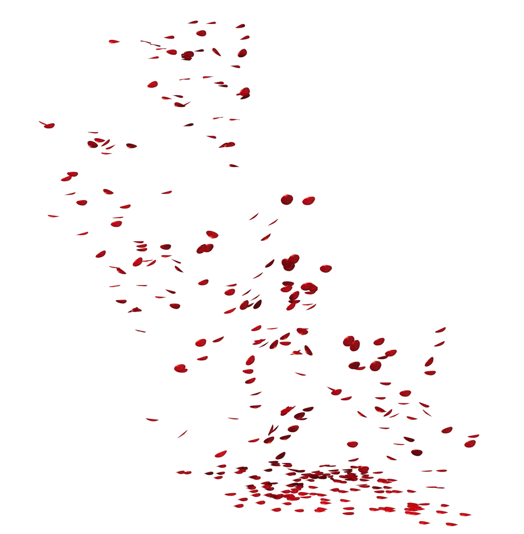 UNRESTRICTED - Petal Rain 02