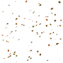 UNRESTRICTED - Falling Autumn Leaves