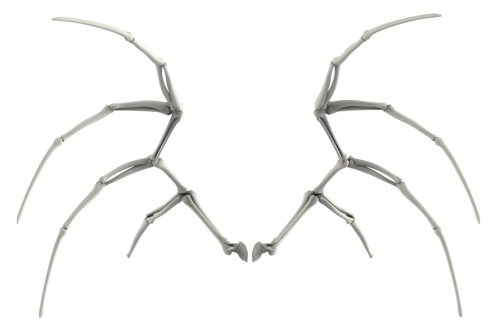 Skkeleton Wing UNRESTRICTED - Bone Wings 02 by frozenstocks on DeviantArt