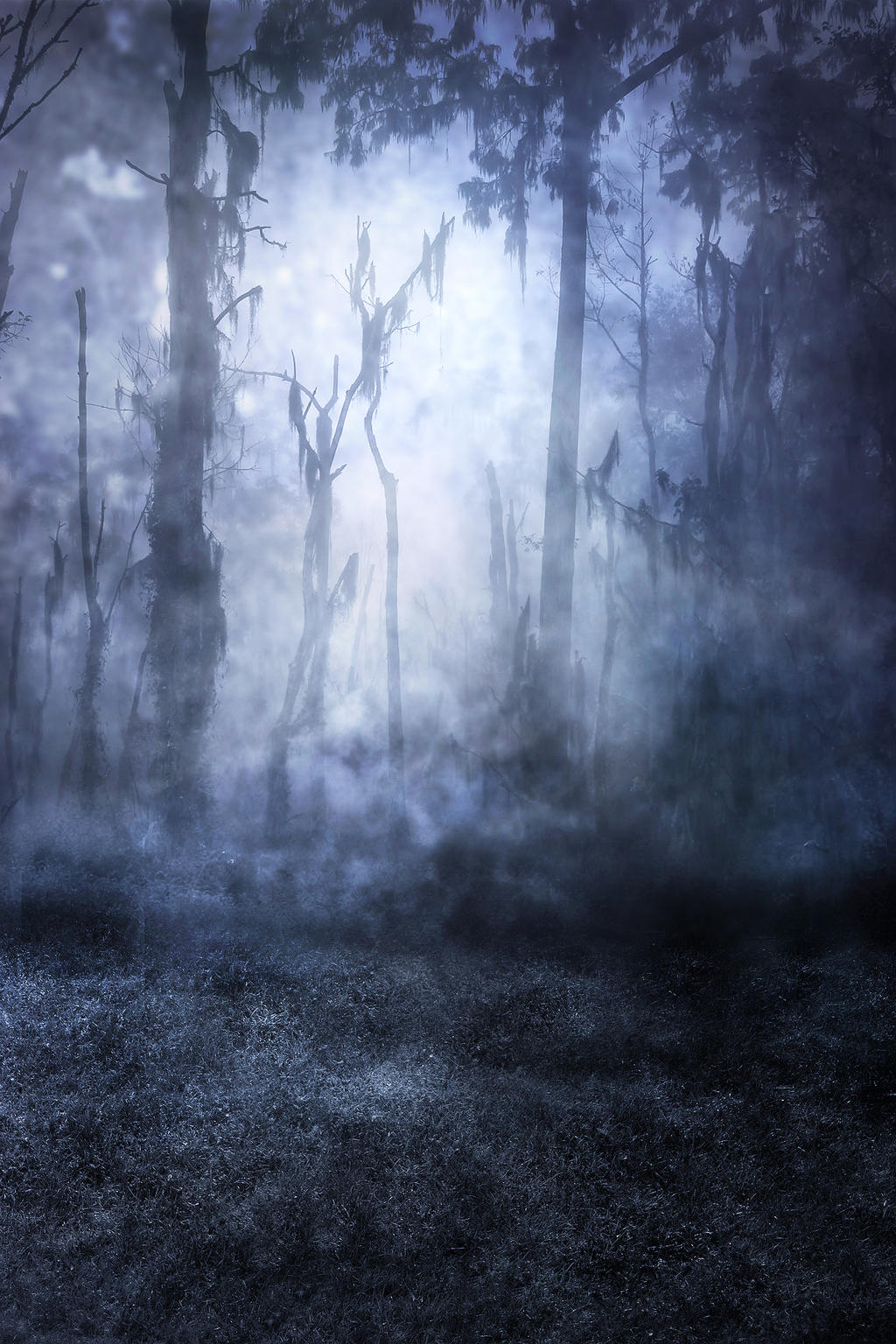 UNRESTRICTED - Haunted Woods Premade by frozenstocks