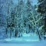 UNRESTRICTED - Winter Blues Premade