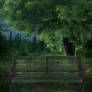 UNRESTRICTED - Forest Bench BG