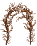 UNRESTRICTED - Autumn Vines Archway