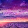 RESTRICTED - Lavender Field Premade