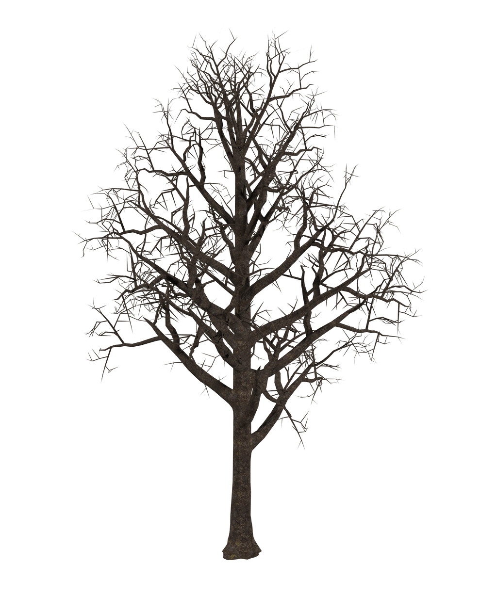 UNRESTRICTED - Bare Tree 05 by frozenstocks on DeviantArt UNRESTRICTED - Bare Tree 05 by frozenstocks on DeviantArt
