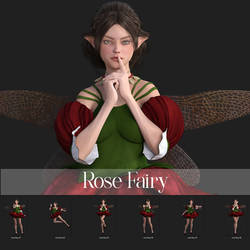 Rose Fairy Premium