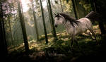 a feral beauty by purpledaydreams