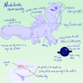 coral reef Nudidraks ref. sheet