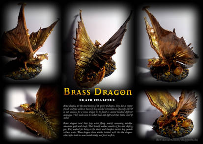 Brass Dragon by tracethehellashark on DeviantArt