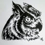 Great Horned Owl - sketch