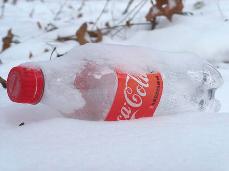 1/29/14 Coke Bottle after a Snow Storm