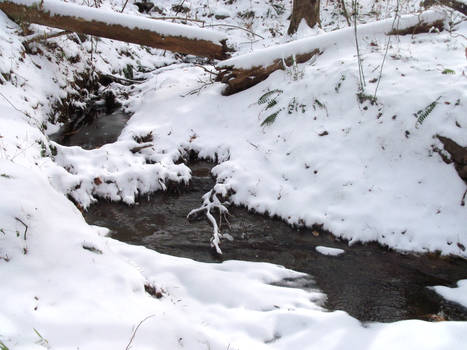 1/29/14 Creek in the Snow
