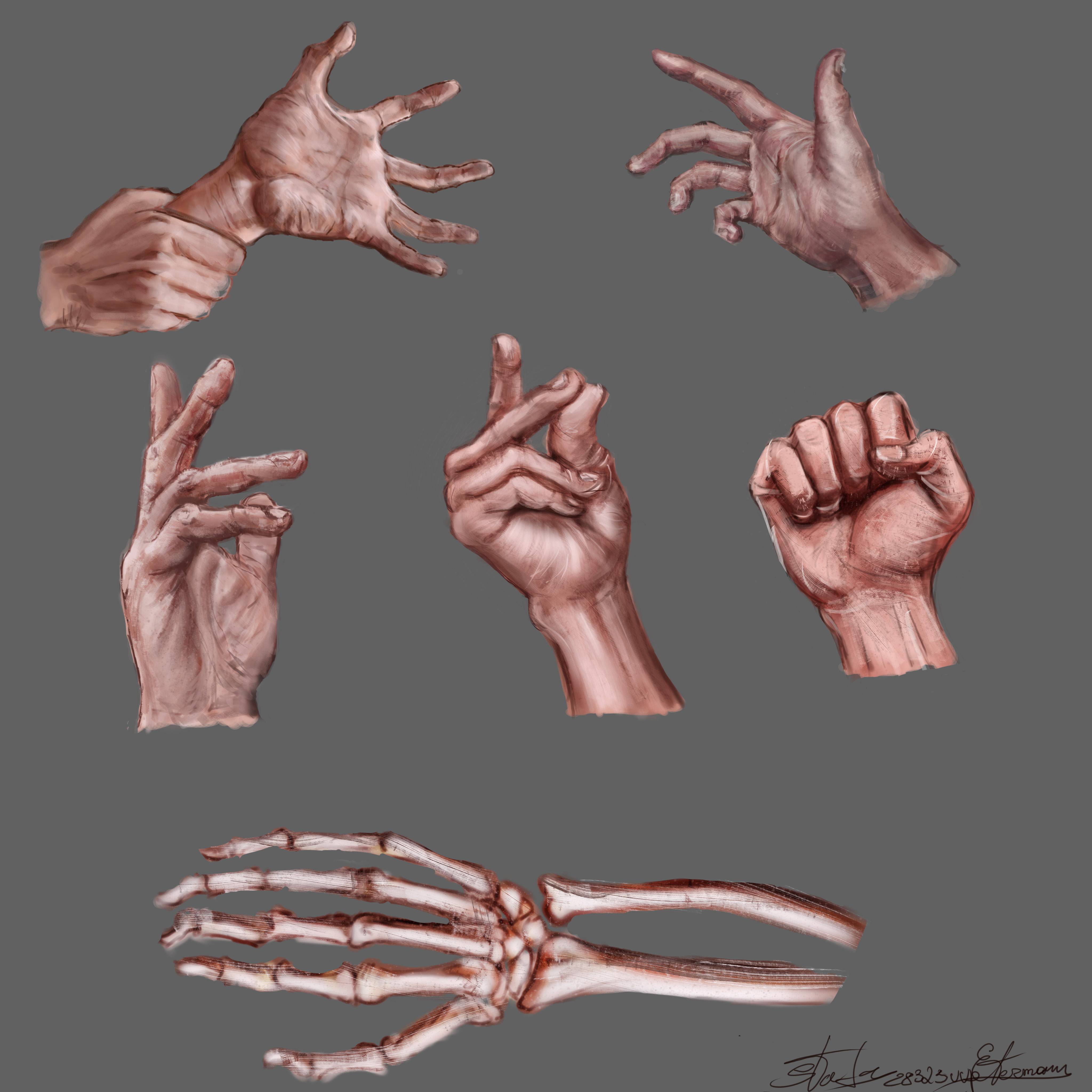 Hands study by Etermany on DeviantArt