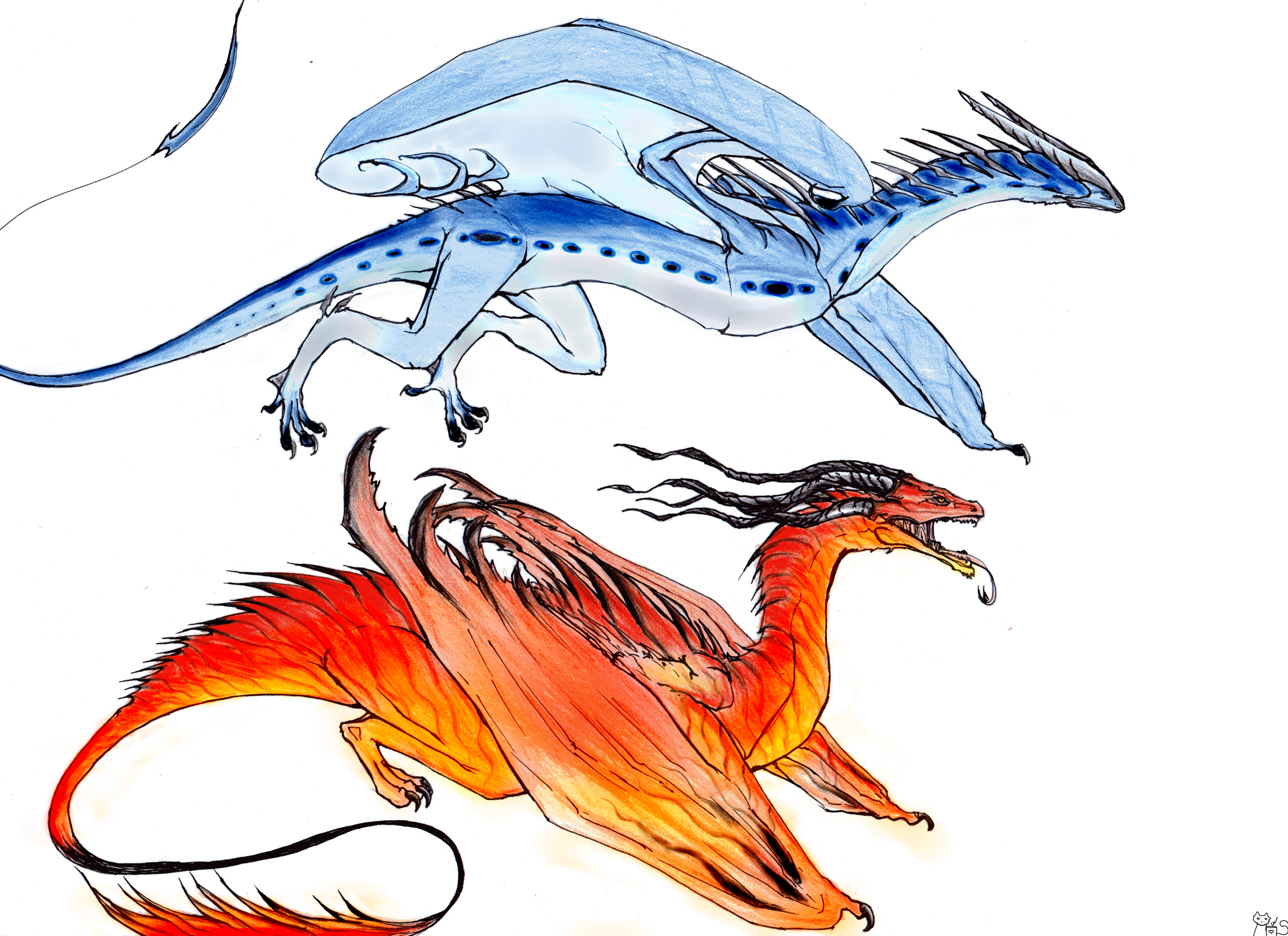 Dragon designs