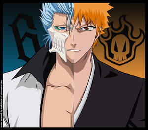 Ichigo vs Grimmjow