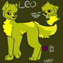 Leo redesign