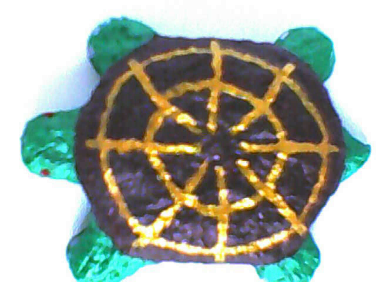 turtle by turbahull on DeviantArt