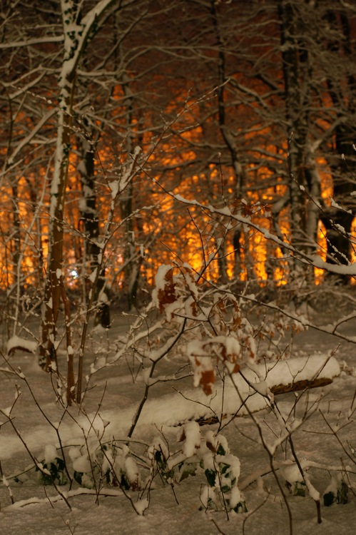 Snowfire