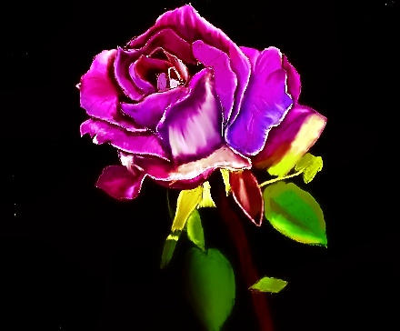 Purple Rose