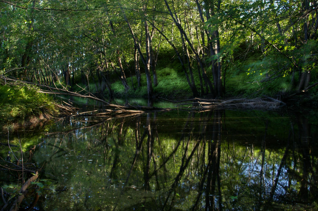 Dreamy River 7 by ten77 on DeviantArt
