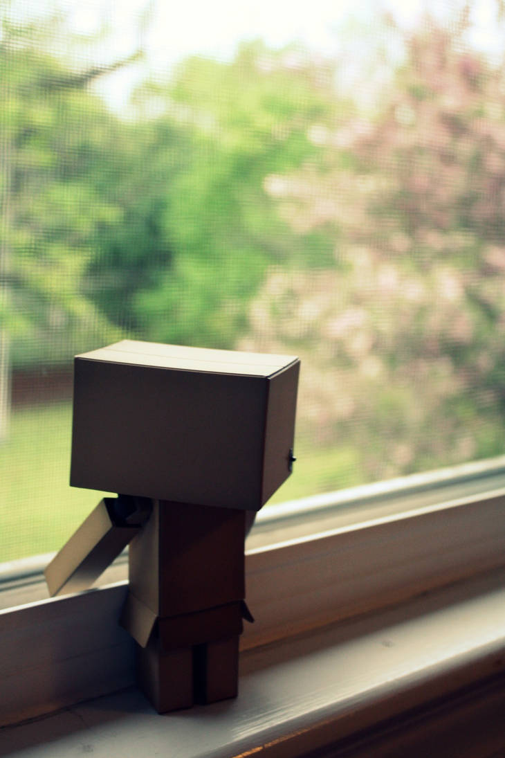 Danbo's spring by quietlylaughing on DeviantArt