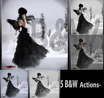 Free 5 Black and White Photoshop Action