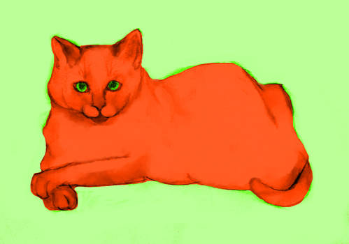 CARROT CAT