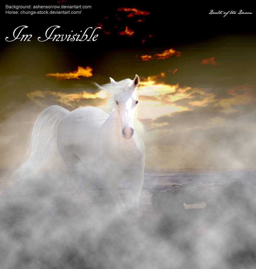 Im Invisible by Signaturesands on DeviantArt