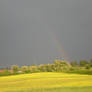 rainbow in the storm