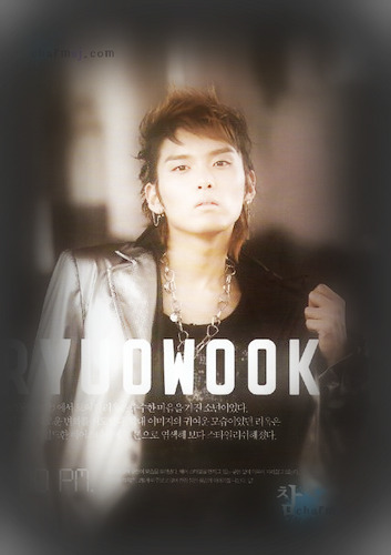 don't don ryeowook