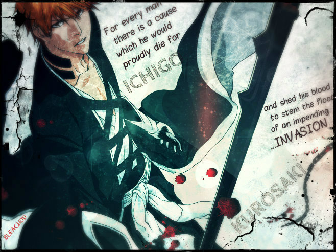 Stop Invasion Ichigo Signature OD's Version