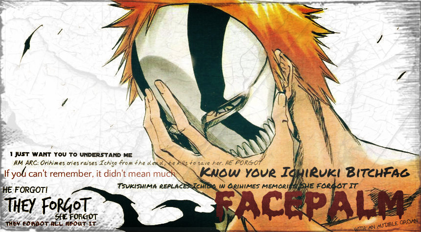 FACEPALM ANTI ICHIHIME SIG VERSION NICE EDIT :P