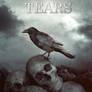 The Raven Tears  - book cover available