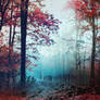 Red Forest III - stock