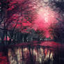 Pink forest - stock