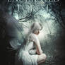 Enchanted forest   - book cover available