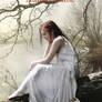 Tears in the Water - book cover available