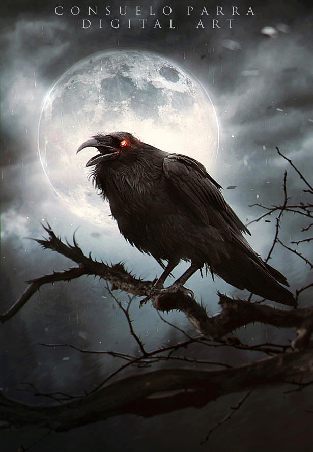 The night of raven