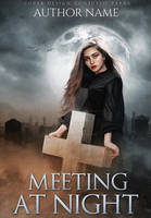 Meeting at night   - book cover available