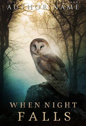 When night falls II - book cover design