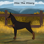NE's Miss The Misery